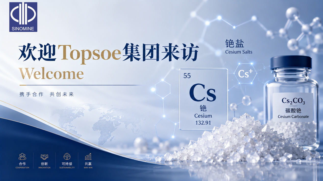 跨越十年，携手共赴&mdash;&mdash;托普索集团到访永利3044noc集团